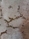 Cracked cement wall background picture. Royalty Free Stock Photo