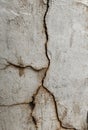 Cracked cement wall pattern for background or texture applications Royalty Free Stock Photo