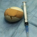 a cracked chicken egg sealed with a medical plaster next to a syringe concept vaccination immunization medical care