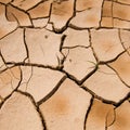 Cracked clay ground