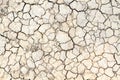 Cracked clay ground in the dry season