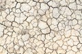 Cracked clay ground in the dry season Royalty Free Stock Photo