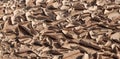 Cracked clay ground in a dry season. Cracked soil texture. Royalty Free Stock Photo