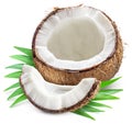 Cracked coconut fruit with piece of coconut over green leaves on white background