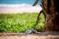 Cracked coconut lying on a beach in the sand under a palm Royalty Free Stock Photo