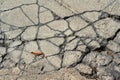 Cracked Concrete