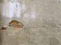 Cracked concrete brick wall Royalty Free Stock Photo