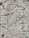 Cracked concrete makes for a rugged backdrop - CONCRETE CAN CRACK