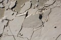 Cracked concrete surface as a background Royalty Free Stock Photo