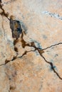 Cracked concrete surface Royalty Free Stock Photo