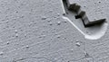 Cracked concrete texture, aged surface detail, Stock Photo, Generative AI