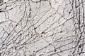 Cracked concrete texture background. Grey surface with cracks close up. A lot of pieces of splintered plaster. Abstract concept of