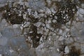 Cracked concrete texture close-up background Royalty Free Stock Photo