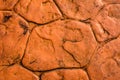 Orange stone wall background, grune background