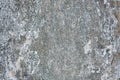 Cracked concrete wall covered with gray cement surface. Grey old wall with shabby damaged plaster or cement and brick background Royalty Free Stock Photo