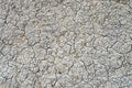 Cracked crust of dried fertile soil