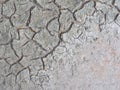 Cracked crust of dried silt. Global warming. Background image