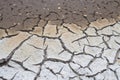 Cracked crust of dried silt. Shoal of fresh water due to climate warming