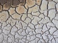 Cracked crust of dried silt. Shoal of fresh water due to global warming. Background image, low contrast