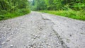 Cracked damaged road