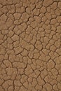 Cracked desert background texture