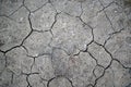 Cracked Desert Ground