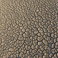 Cracked desert ground forms a mosaic of irregular, parched earth segments. The Royalty Free Stock Photo