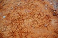Cracked Desert Mud