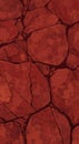 Cracked Red Earth Pattern â Close-Up of Parched Ground Royalty Free Stock Photo