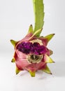 cracked Dragon fruit on white background. ripe pitaya fruit skin in rift and seeds are coming out.