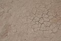 Cracked Dried Earth