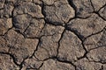Cracked Dried Earth Royalty Free Stock Photo