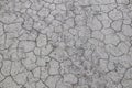 The cracked, dried earth is gray. A desert without water. Arid ground. Thirst for moisture on a lifeless space. Ecological situati Royalty Free Stock Photo