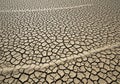 Cracked, dried mud forms an intricate pattern on an expansive surface. The texture is Royalty Free Stock Photo