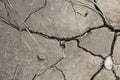 Cracked dried mud, perfect background Royalty Free Stock Photo