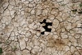 Cracked dry earth as a puzzle Royalty Free Stock Photo