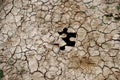 Cracked dry earth as a puzzle