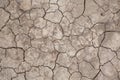 Cracked dry earth background, top view Royalty Free Stock Photo