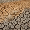 Cracked, dry earth with a desolate appearance. The soil is a light, earthy brown, with irregular, Royalty Free Stock Photo