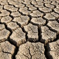 Cracked, dry earth forms distinct polygonal patterns. The parched surface appears light brown, with Royalty Free Stock Photo