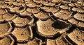 Cracked, dry earth forms a pattern of upturned, curled pieces resembling a jigsaw puzzle. The Royalty Free Stock Photo
