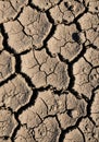 Cracked, dry earth with irregular, polygonal shapes. The surface appears rough and Royalty Free Stock Photo
