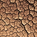 Pattern is formed as soil shrinks and breaks apart due to loss of Royalty Free Stock Photo