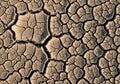 Cracked, dry earth surface featuring polygonal Royalty Free Stock Photo