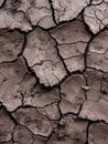 Cracked dry earth surface texture Royalty Free Stock Photo