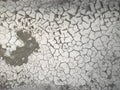 Cracked dry earth surface texture Royalty Free Stock Photo