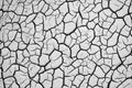 Cracked dry earth texture Royalty Free Stock Photo