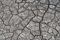 Cracked dry earth texture Royalty Free Stock Photo