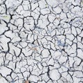 Cracked and dry  gray soil. Royalty Free Stock Photo