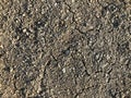 Cracked dry ground mud, dried under sun road Royalty Free Stock Photo